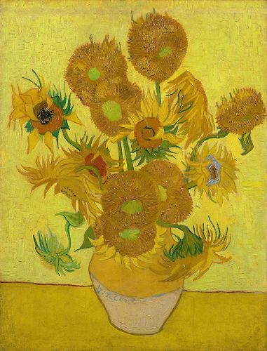 '图例：梵高的《向日葵》（Les Tournesols），布面油画，93×72厘米，作于1889年。此画虽然在博物馆恒温恒湿的条件下享受一流的保护和专家维护，但向日葵的颜色还是从最初的亮黄色变成了现在略微偏绿的棕色，在今年三月经过博物馆专家组暂时性修复。'