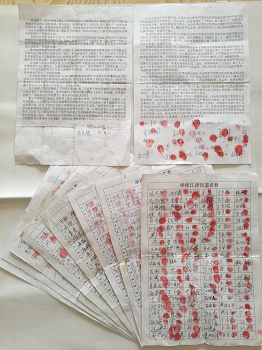 大连庄河市579人签名举报江泽民