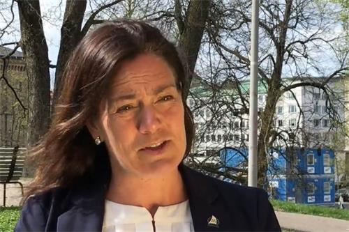 '图5：瑞典国会议员阿尔梅（Ann-Sofie Alm）。'