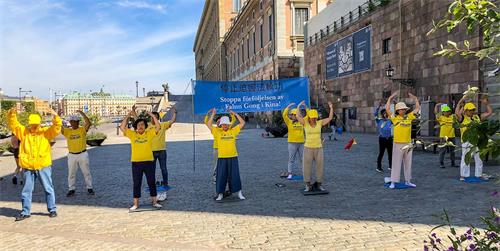 '图1：法轮功学员在斯德哥尔摩市中心国会大厦旁的钱币广场举办讲真相活动。学员在展示功法。'