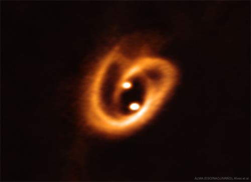 '婴儿“双太阳系”BHB2007 （Image credit：ALMA（ESO / NAOJ / NRAO），Alves等）'